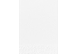 Duni Tissue Napkins 2ply 1/8 Bookfolded White